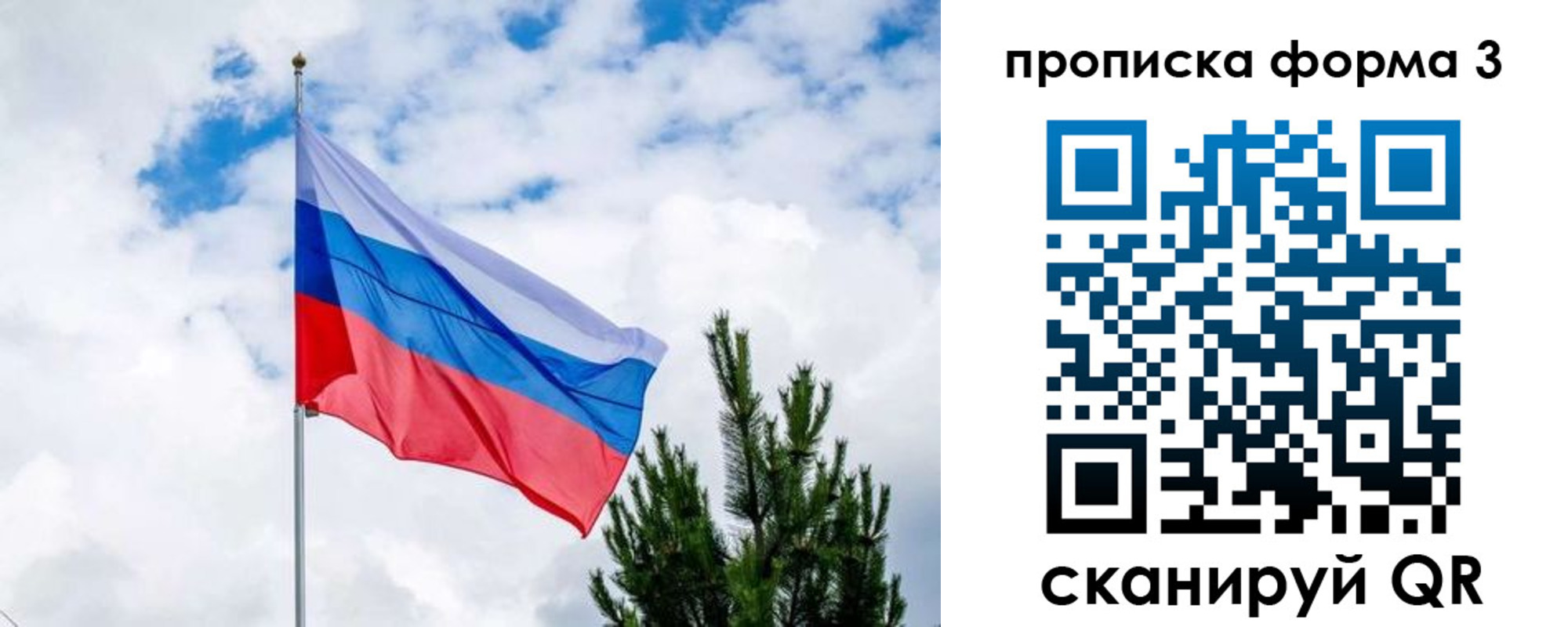 прописка для школы в Шебекино